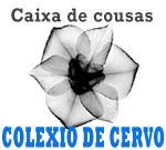 CAIXA DE COUSAS DO COLEXIO DE CERVO