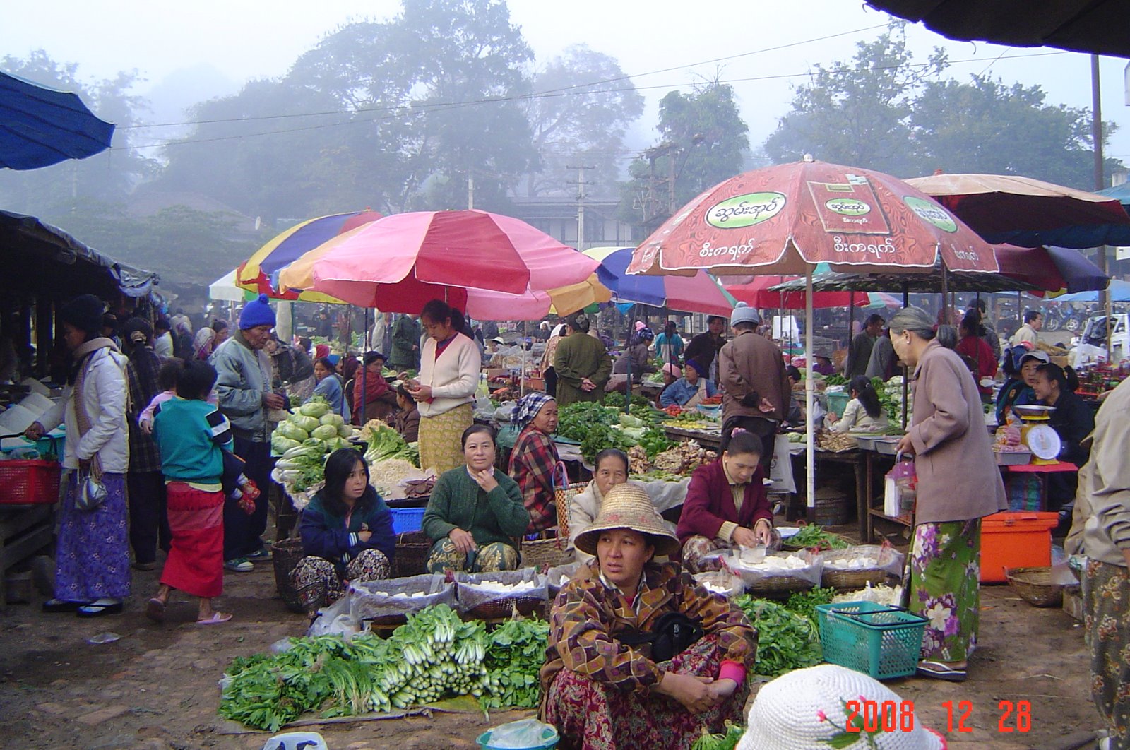 [DSC04041.JPG]
