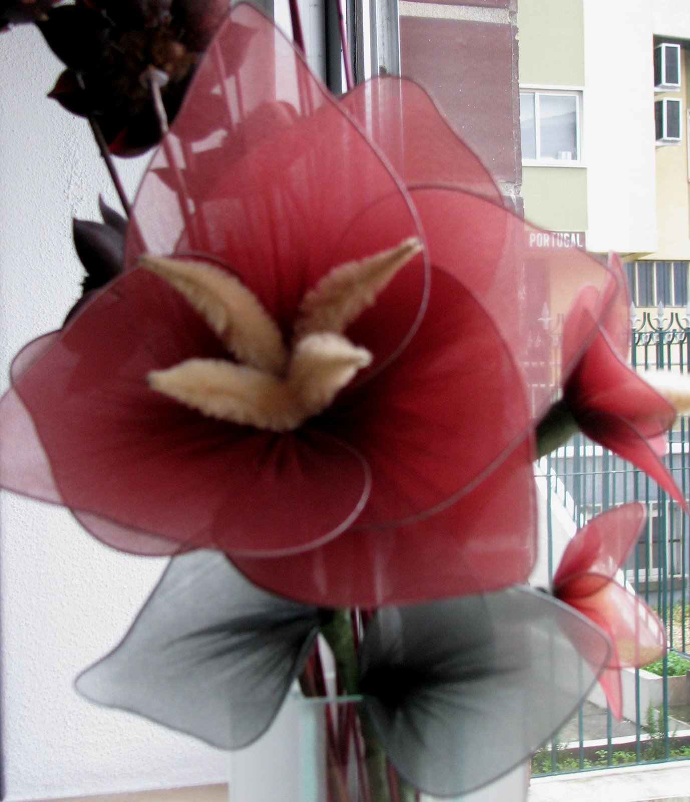 [Flor.jpg]