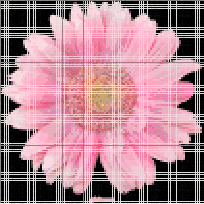 [flores.bmp]