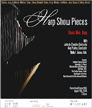 The Concert...