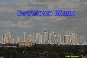 3-7-10 Downtown Miami