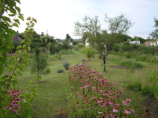 VISITEN LA PLANTACION