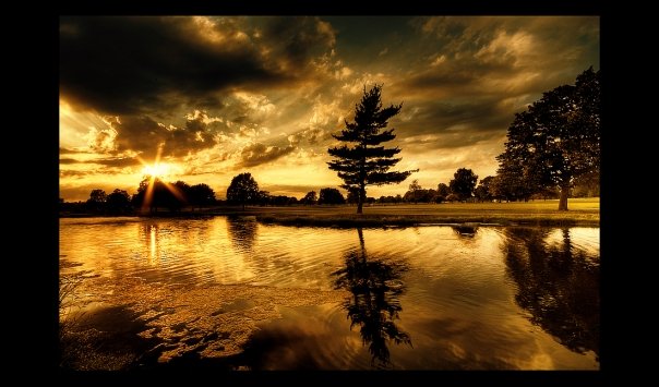 [n578507389_576465_191.jpg]