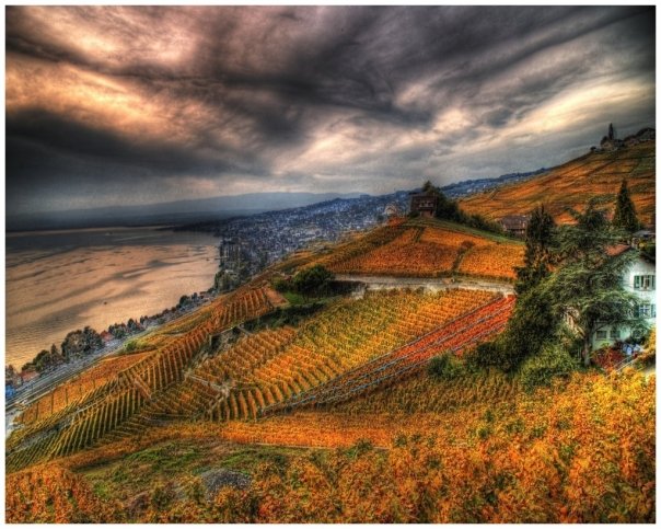 [n578507389_576464_9827.jpg]