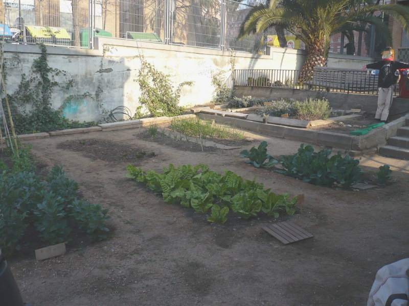 [P1090137.JPG]