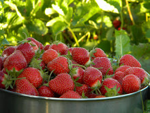 Strawberries