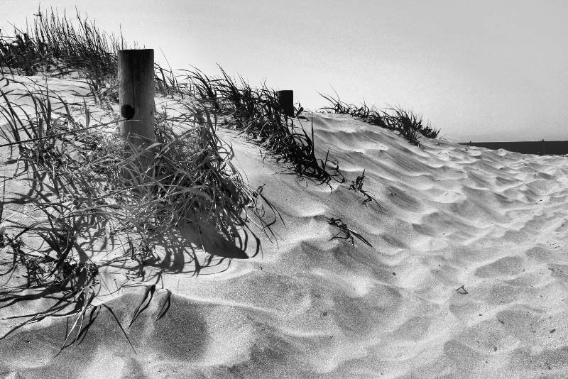 [SandBW[1].jpg]