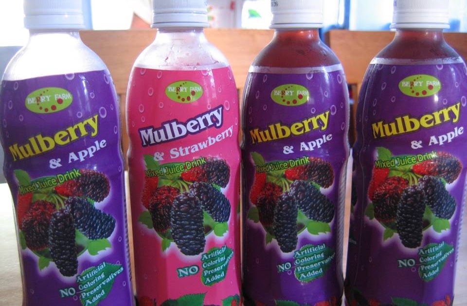 Our Taste of Life Mulberry Mixed Juice Drink