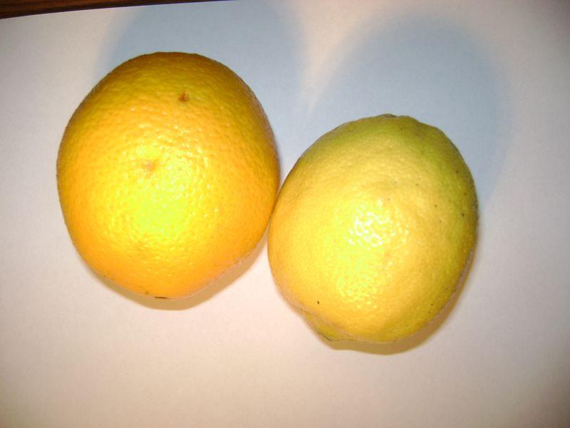 [aplemon.JPG]
