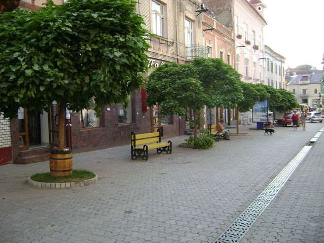 [photo_38.JPG]