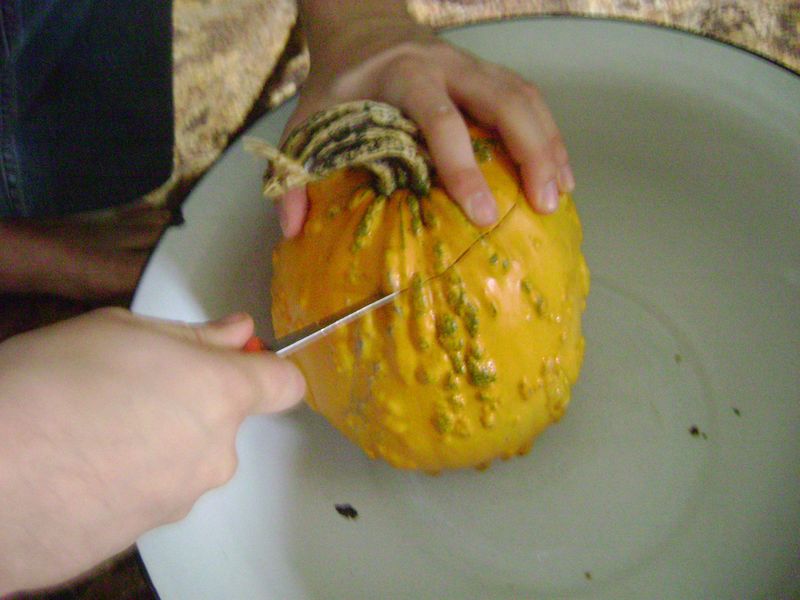 [halloween+-+04.JPG]