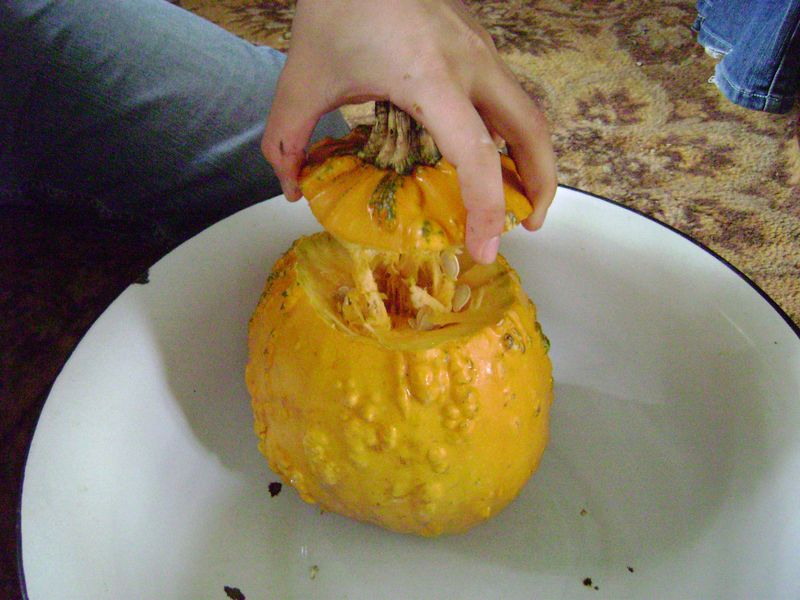 [halloween+-+08.JPG]