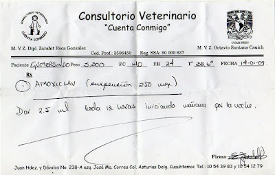 receta de doctor
