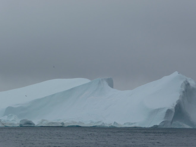 Bergs in the clouds