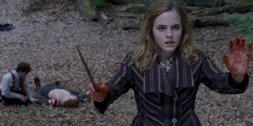 [hermione-deathly-hallows.jpg]