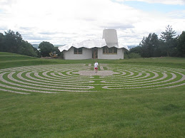 MFM Dundee Maze