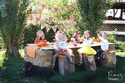 Thanksgiving Owl Kids Party