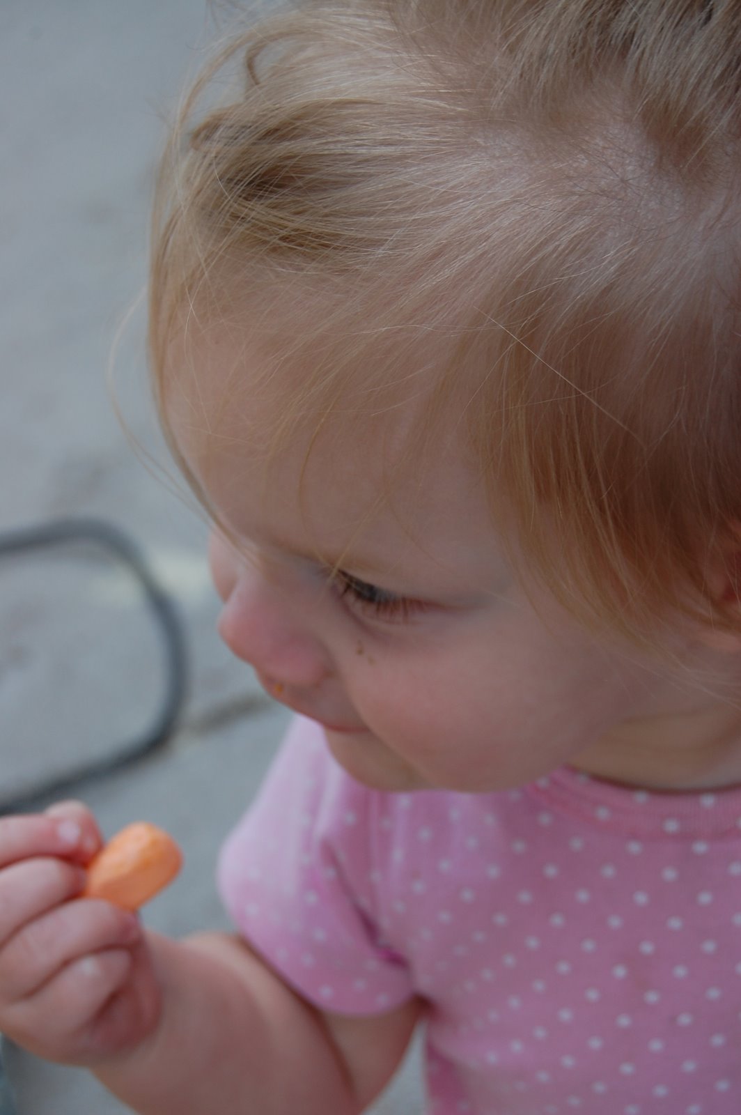 [DSC_1056.JPG]