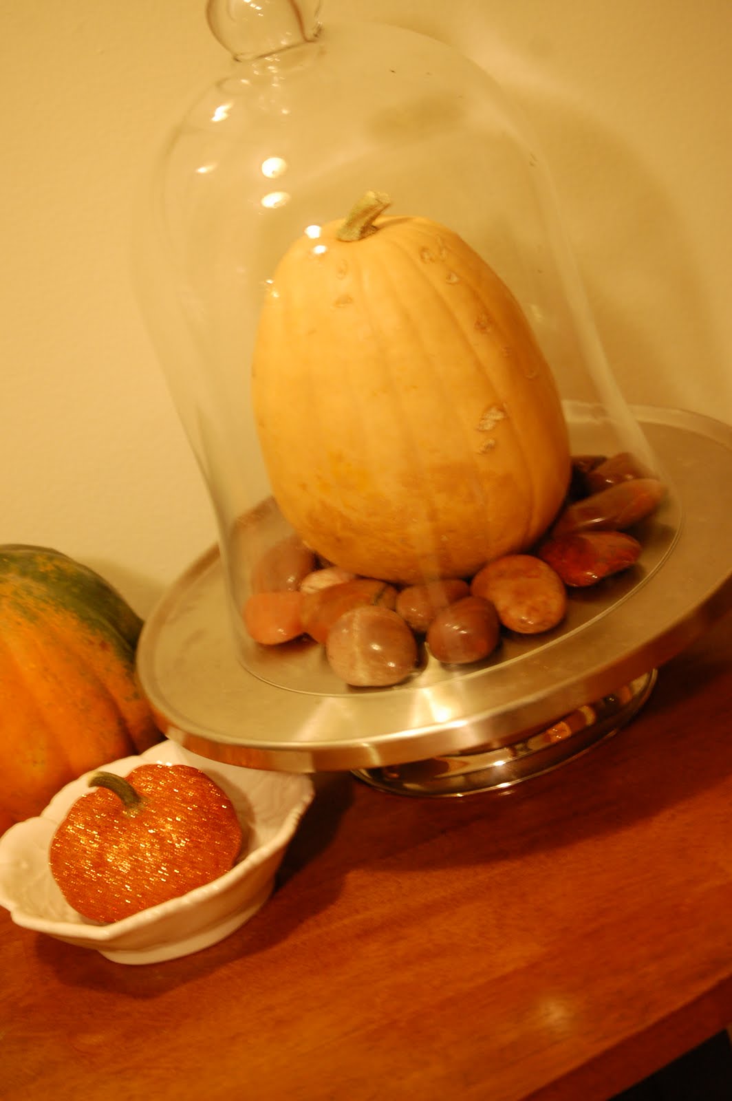 [DSC_0655.JPG]