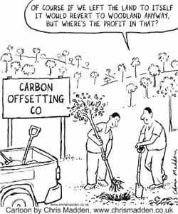 Carbon offsetting cartoon