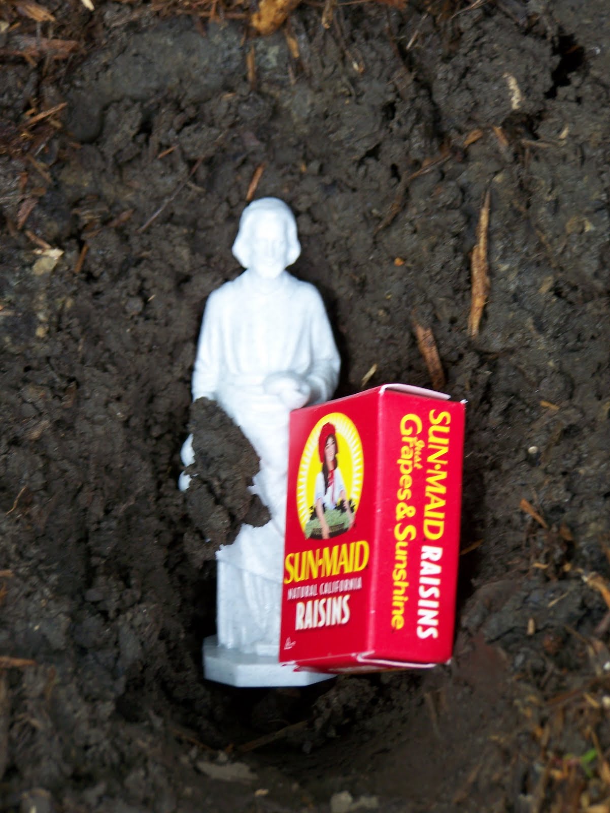 A Day in the Wife My Apologies to St. Joseph