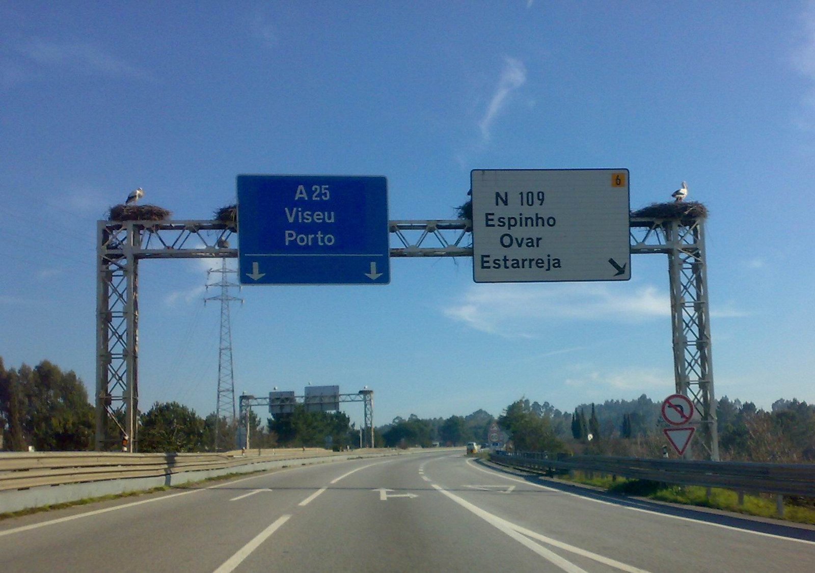 [cegonha.JPG]