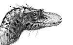 Gorgosaurus