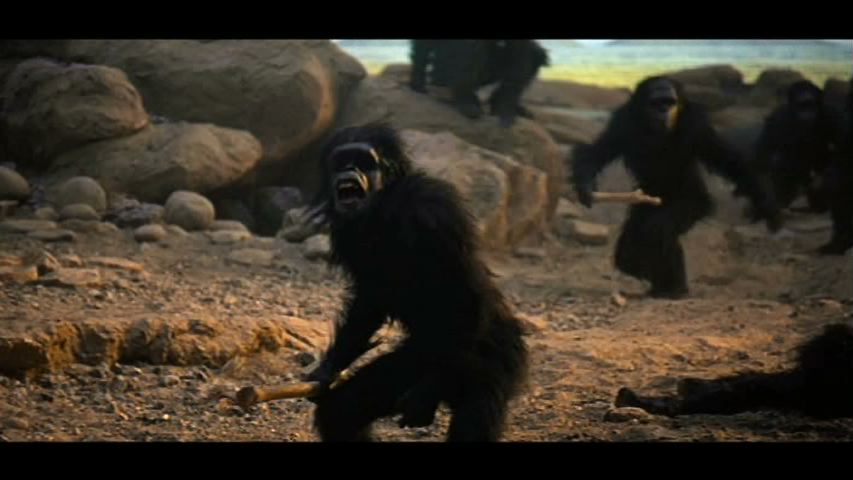 [APE_12.jpeg]