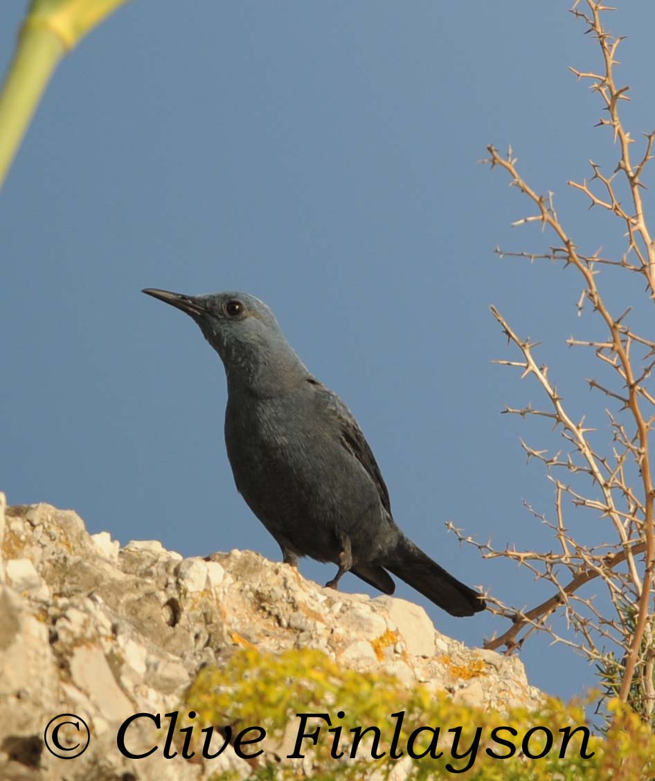 Clothed unclothed | [free clothed unclothed picture galleries]