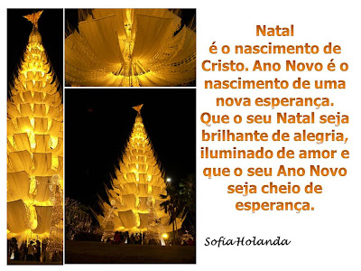 AFA - Associação da Família Almeida - Ano XXXIII: Mensagem de Natal