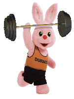 gym+bunny.gif