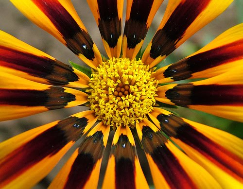 Visual Balance In Art : First balance in art and design