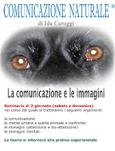 i seminari di Ida Caruggi