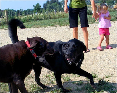 Zander,Roscoe,girl