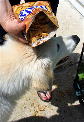 Clara,Caramel Bugles