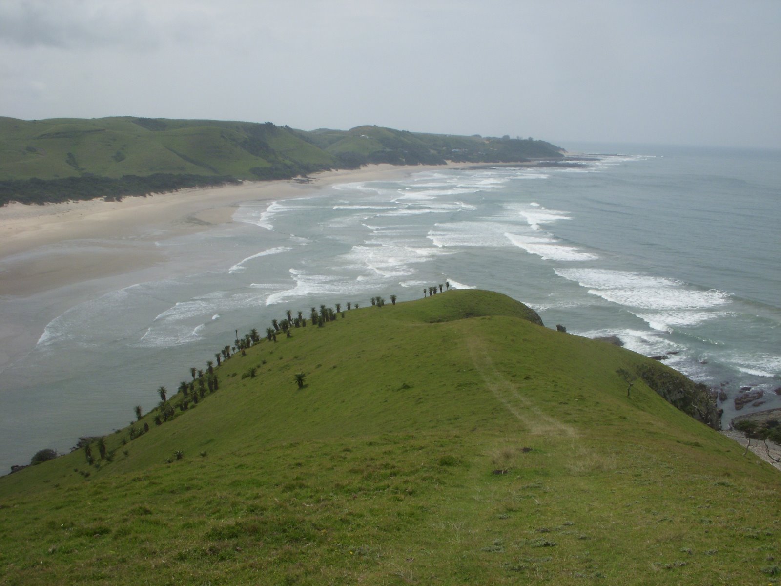 [DSCN0699.JPG]