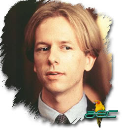 David Spade