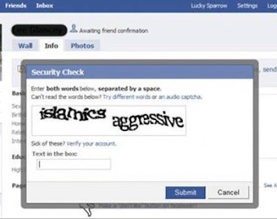 Bizarre Phrase  Facebook Captchas Seen On www.coolpicturegallery.us