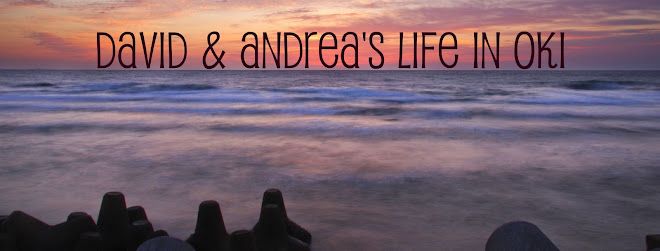 Dave & Andrea's Life in Okinawa