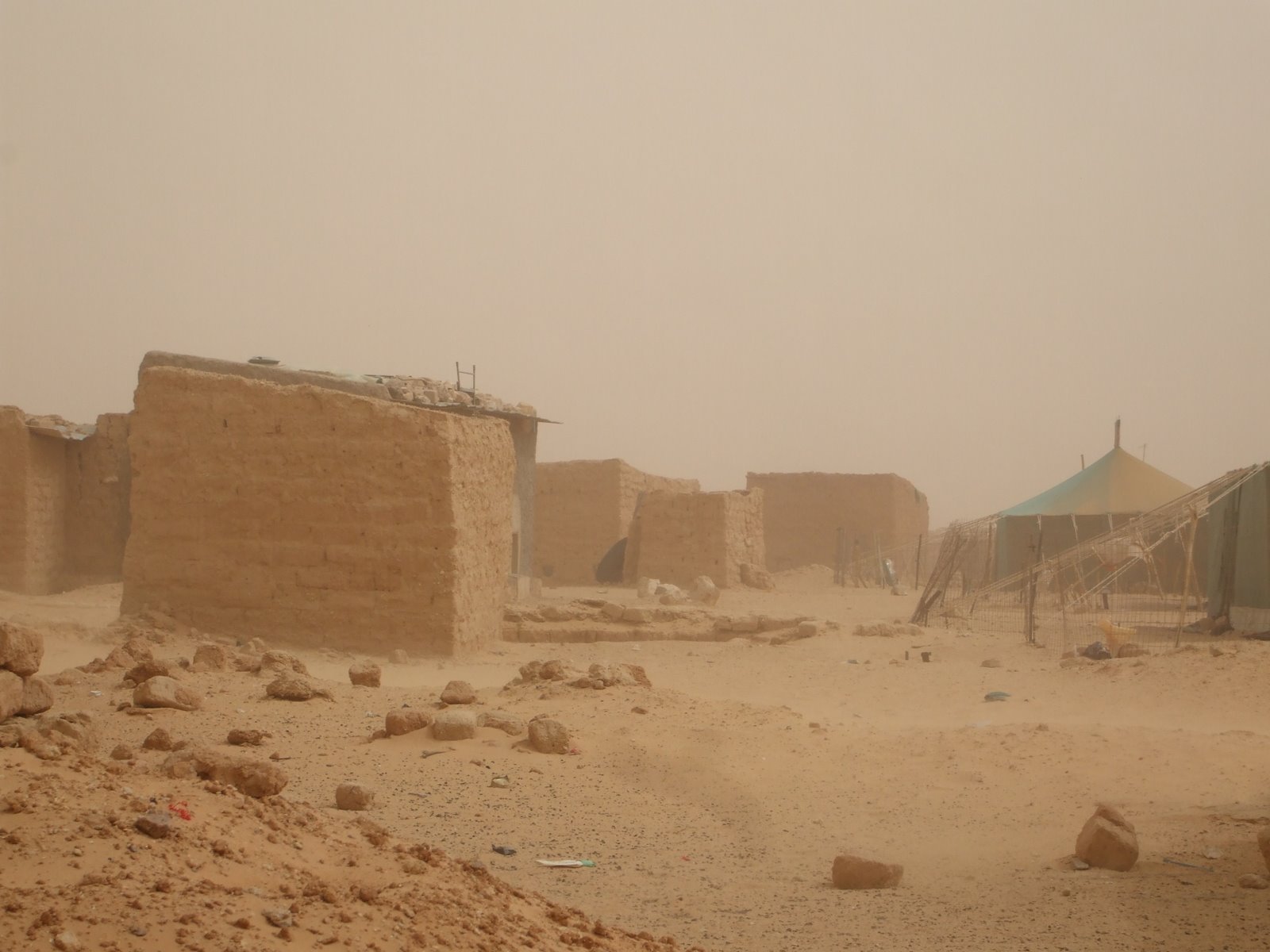 [maratonsahara_campamento.jpg]