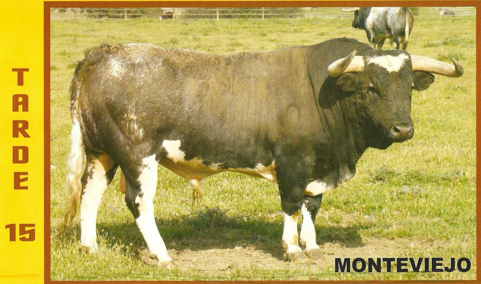 [tarde15monteviejo1.jpg]