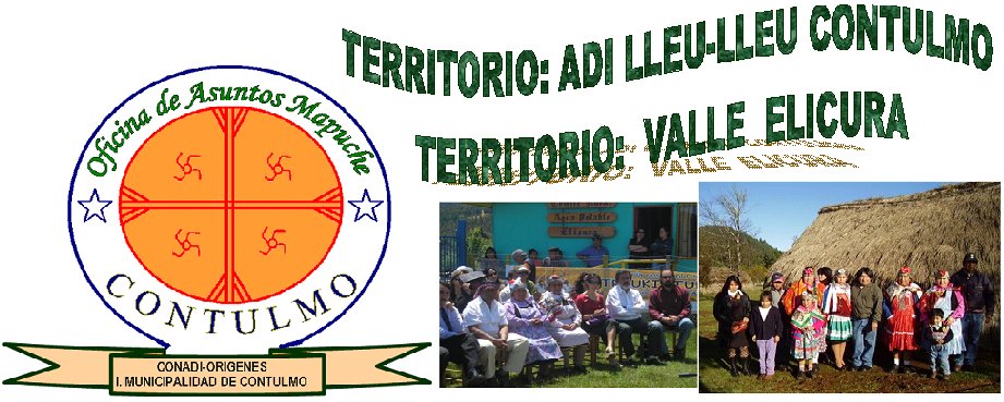 oficina de asuntos mapuche contulmo
