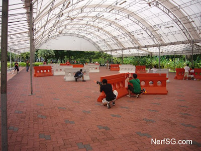 Nerf Sg