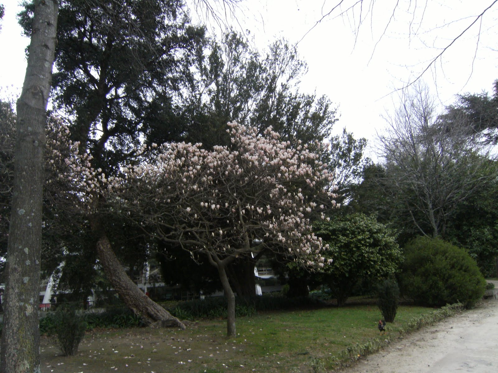 [PALÁCIO+016.JPG]