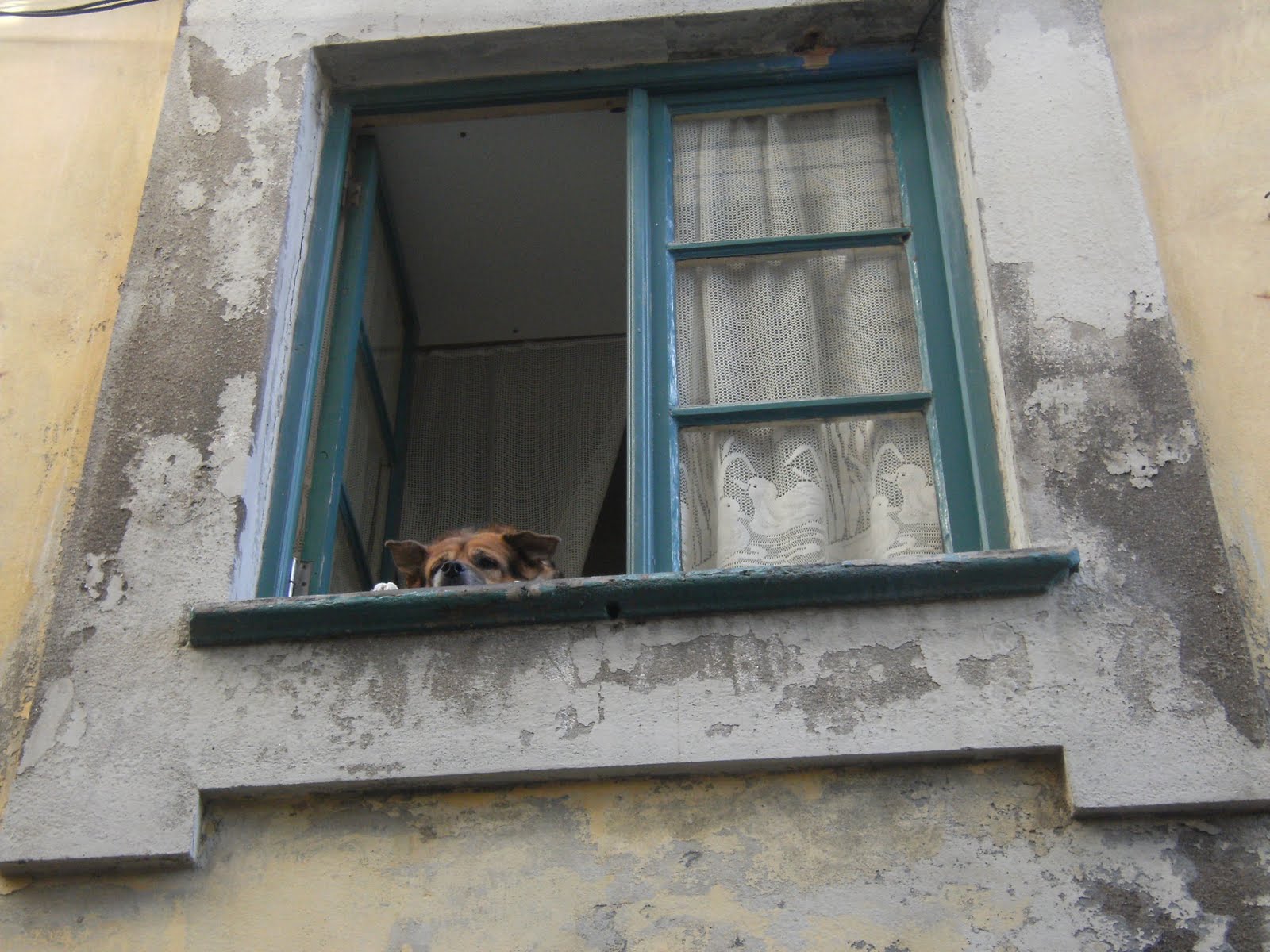 [PENA+VENTOSA+021.JPG]