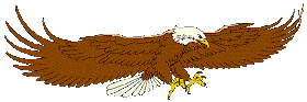 Patriotic clipart of American eagle