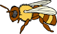 Useful honey bee clipart