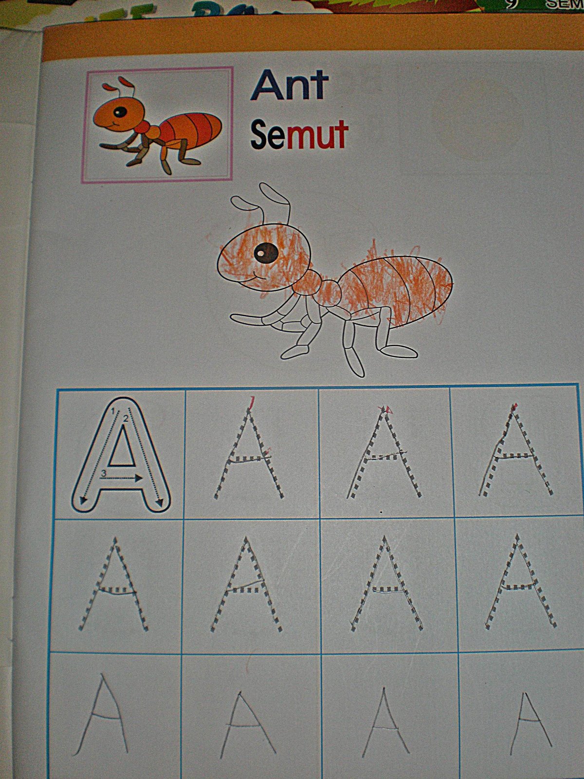 [P3171466.JPG]