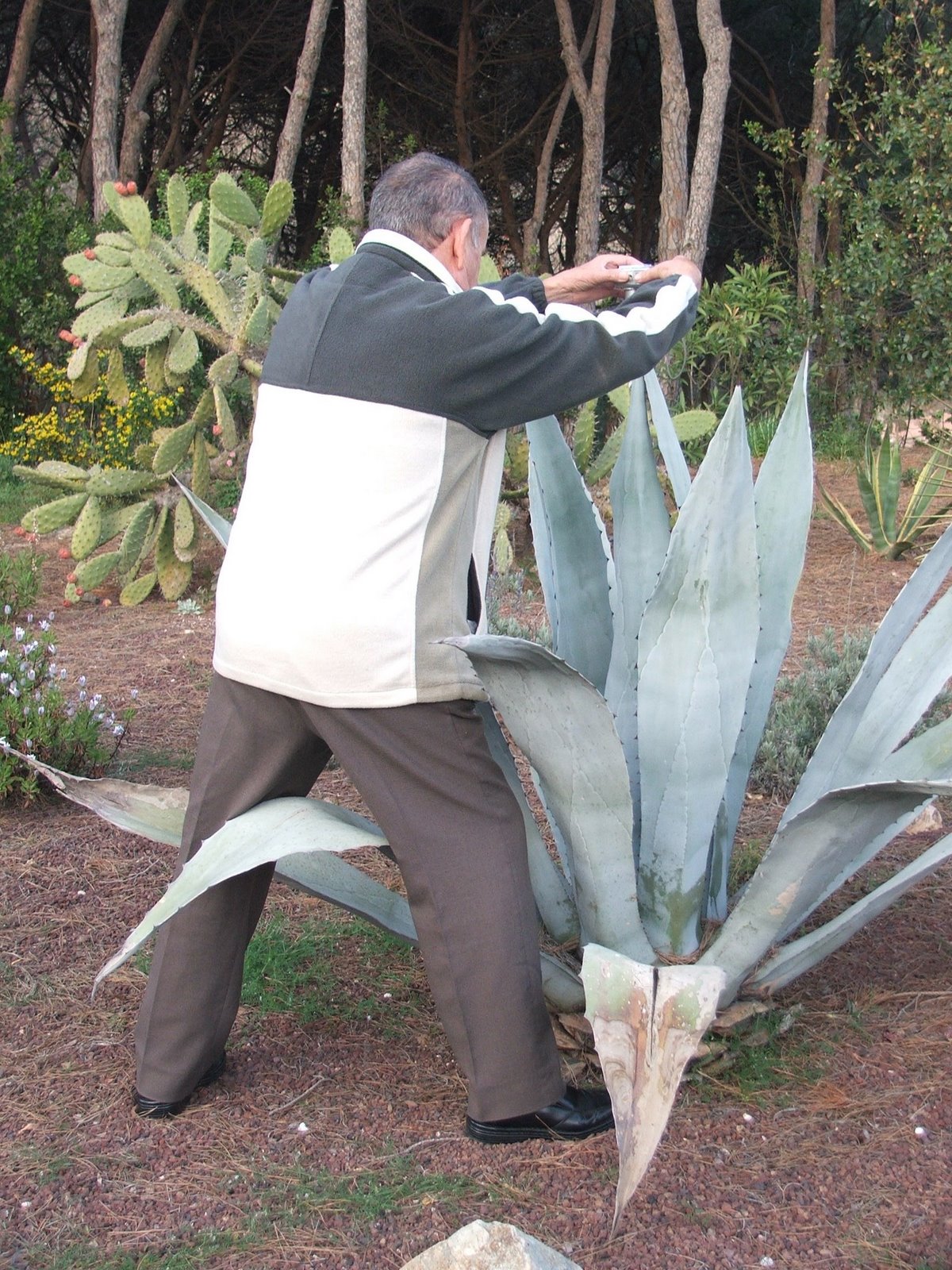 [2009_0322sortidaFoto0046.JPG]